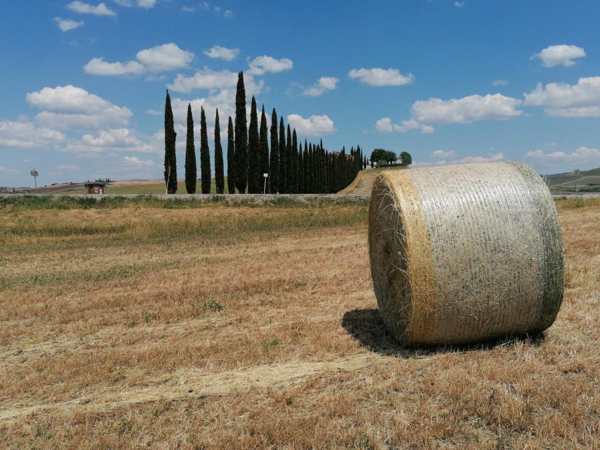 Agriturismo La Poderina Bagno Vignoni Eksteriør billede