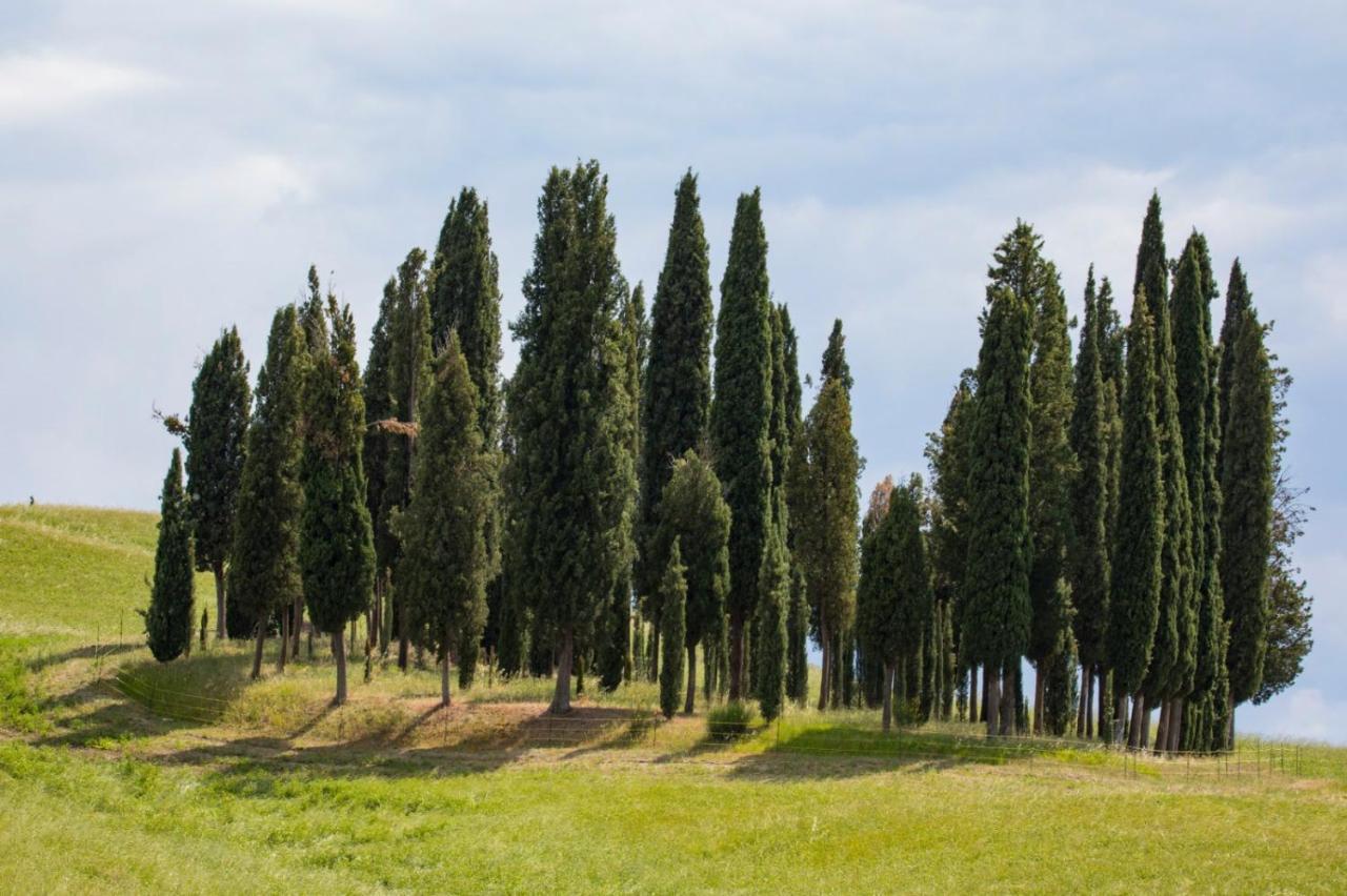 Agriturismo La Poderina Bagno Vignoni Eksteriør billede